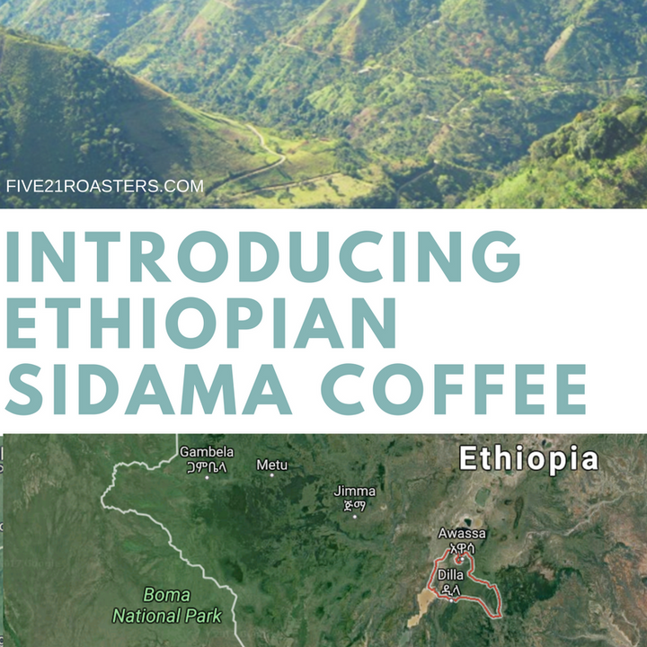 Introducing the Ethopian Heirloom Sidama Roast, Ethiopian Coffee Beans in Calgary